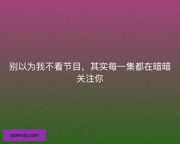 别以为我不看节目，其实每一集都在暗暗关注你